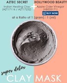 AZTEC SECRET Indian Healing Clay