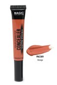 MAGIC COLLECTION Matte Finish Color Corrector Concealer