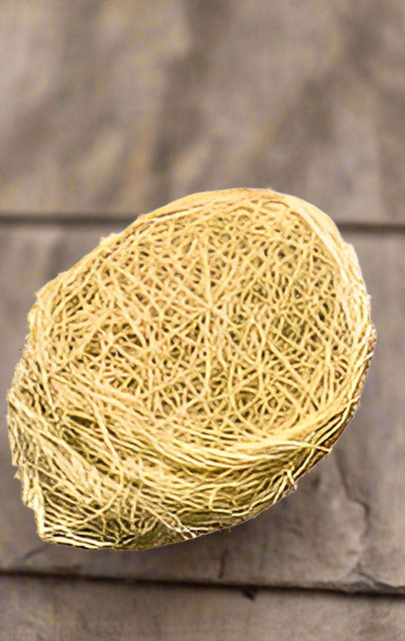 Africa Local Sponge (Kankan Ibile) | Organic Exfoliating Bath Sponge