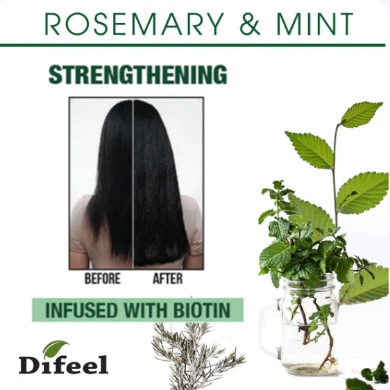 Difeel(Sunflower) Rosemary Mint Strengthening Shampoo (12oz)