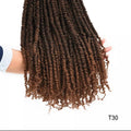PRE-LOOPED PASSION TWIST-22 inches